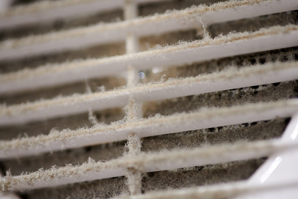 Duct Cleaning Service: Everything You Need To Know About Your Ductwork | Frisco, TX