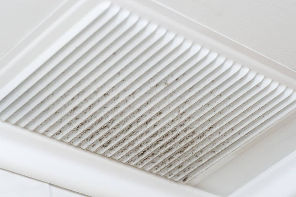 Why You Need Air Duct Cleaning Service To Be A Regular Part Of Your Home Cleaning | Richardson, TX