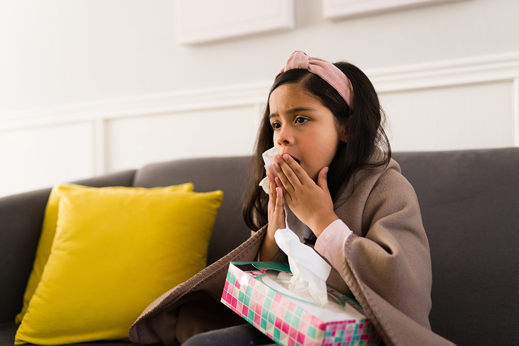 What Happens If You Neglect Routine Duct Cleaning Service In Your Home? | Lewisville, TX