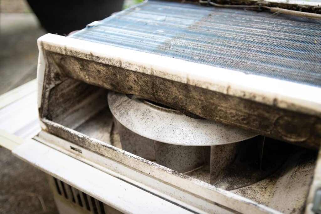 Best Practices for HVAC Mold Prevention