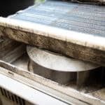 Black mold, HVAC Mold Prevention.